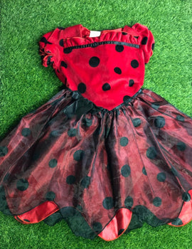 Ladybug Frock With Wings