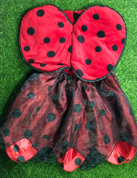 Ladybug Frock With Wings