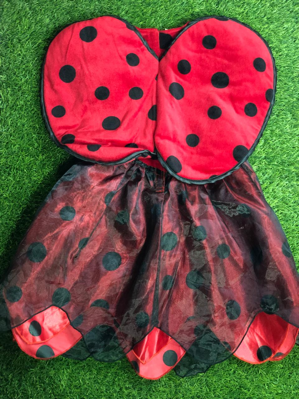 Ladybug Frock With Wings