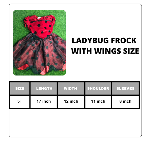 Ladybug Frock With Wings