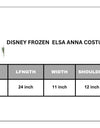 Disney Frozen dress Elsa anna girl costume