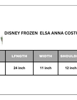 Disney Frozen dress Elsa anna girl costume