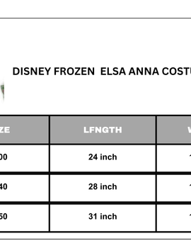 Disney Frozen dress Elsa anna girl costume