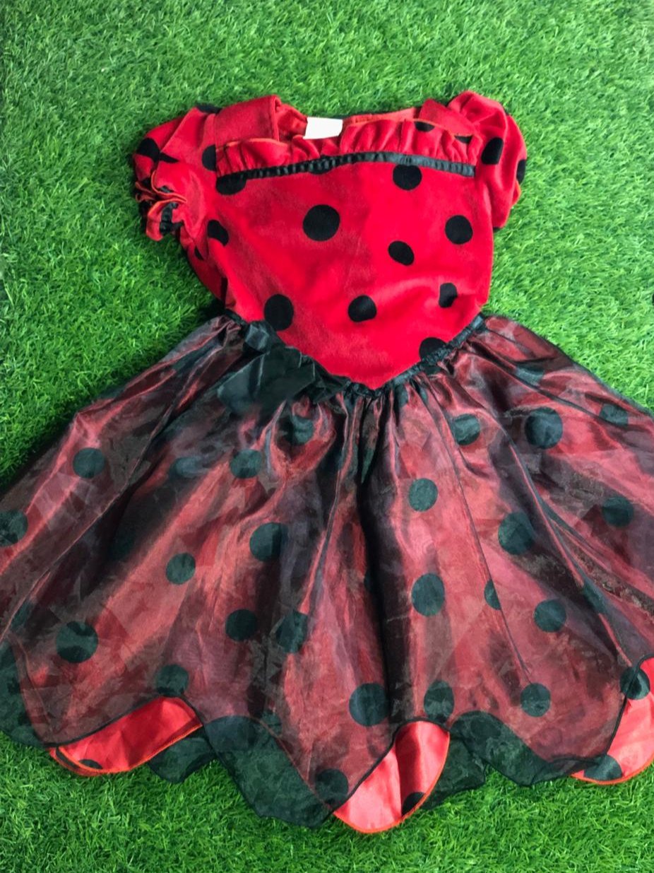 Ladybug Frock With Wings